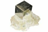 Shiny, Natural Pyrite Cube In Rock - Navajun, Spain #118253-1